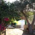 GIARDINO DI SICILIA