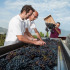 CAVANERA WINE RESORT