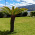 UNICO BOUTIQUE HOTEL