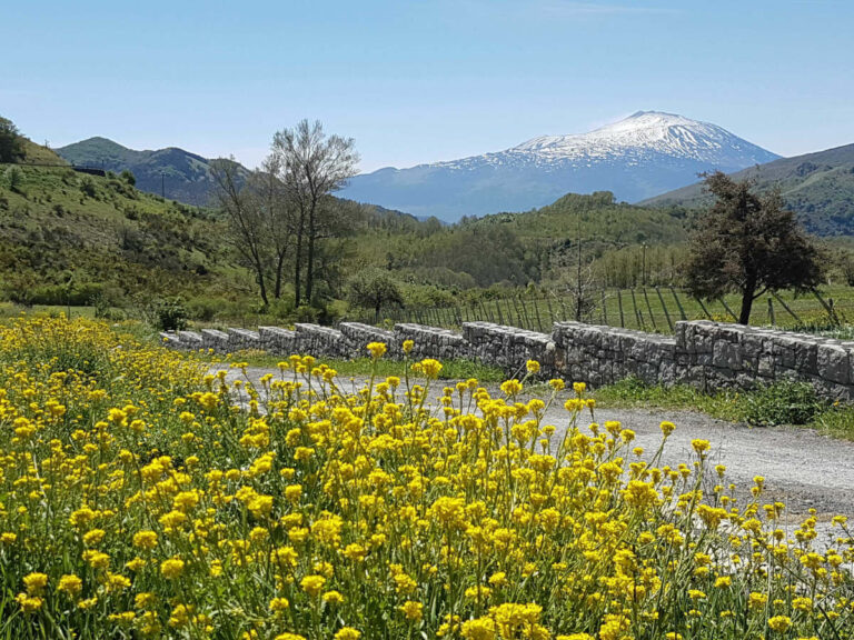 wat is de beste reisperiode voor sicilie rondreis in de zomer, lente, winter of herfst